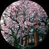 bostonposher_